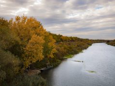 Ekološko Osvešćenje u Srbiji: Ključ za Održivu Budućnost